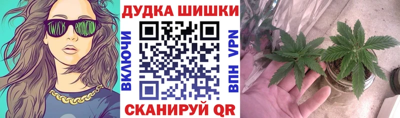 Продажа наркотиков Осинники Кокаин  АМФЕТАМИН  NBOMe  МАРИХУАНА  Гашиш  Alpha-PVP 