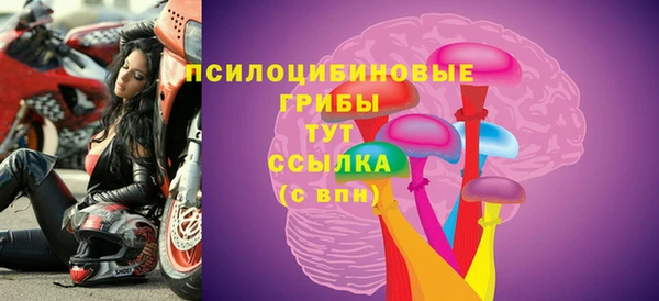 а пвп мука Вяземский