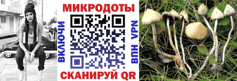 Галлюциногенные грибы MAGIC MUSHROOMS  ссылка на мегу рабочий сайт  Осинники 